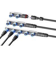 Assemblage de câble personnalisé série M15 1 à 2, 1 à 3, 1 à 5 avec connecteurs à 2 broches Courant nominal 10A pour alimentation