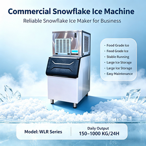 Machine à glace en flocons commerciale série WLR, production quotidienne de 600 kg, qualité alimentaire, pour les entreprises - Product Image 1