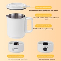 Bouilloire électrique portable sans fil en acier inoxydable 316, 600W, double protection, tasse de voyage, capacité 1L, chauffage rapide, bouilloire intelligente