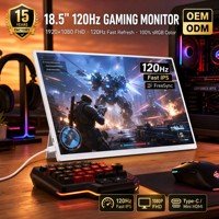 Moniteur portable sur mesure de 18,5 pouces 120 Hz, 1080p FHD IPS, type C, écran externe, solutions complètes OEM ODM