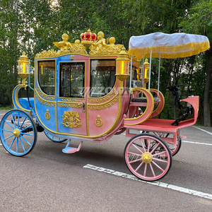 Véhicule de tourisme électrique en fibre de verre et acier, style européen, pour 5-6 personnes, à vendre - Product Image 2