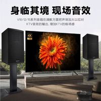 Bekboes Série V – Vente en gros usine – Enceintes professionnelles simples 10 pouces, 12 pouces, 800 W, 15 pouces