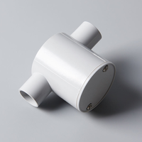 Boîte de jonction électrique australienne à 2 voies AS/NZS 20 mm pour tuyaux, raccords de conduit en PVC