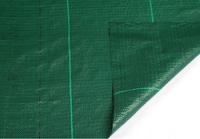 Tissu vert de couverture de sol de tapis de barrière de mauvaises herbes pour le tissu agricole de lutte contre les mauvaises herbes de Film plastique d'usine