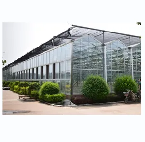 Glass Greenhouse Planting Vertical Farming NFT Hydroponic Growing Systems Chinese Greenhouse Design