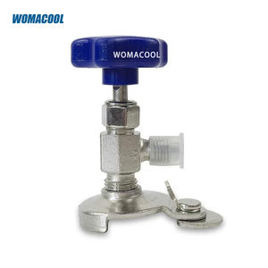 Climatiseur réfrigérateur réfrigérant universel ouvre-<span class=keywords><strong>bouteille</strong></span> vanne de commande en laiton pour réfrigérant R410A R22 R134A - Product Image 4