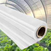 Rouleau de film plastique micronisé pour serre agricole résistant aux UV
