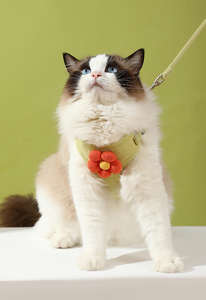 Correa para mascotas de dibujos animados más vendida, correa ajustable cómoda para exteriores, correa para gatos y perros con chaleco a prueba de Escape - Product Image 3