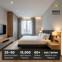 Ensemble de meubles sur mesure pour chambres d'hôtel, pour projets de 25 chambres : Tête de lit, table de chevet, armoire, bureau, canapé