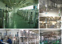Bioréacteur de laboratoire, Fermenteur, Cuve de réaction avec contrôle automatique, Chauffage électrique, Capacité 100L, Pompe de mélange à turbine, Multi-tension