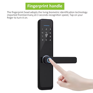 Poignée <span class=keywords><strong>de</strong></span> porte intelligente Life Smart avec empreinte digitale double, serrure <span class=keywords><strong>de</strong></span> porte intelligente à double empreinte digitale pour porte en aluminium, portail extérieur - Product Image 2