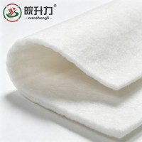 Géotextile aiguilleté à haute résistance WSL pour le traitement des fondations de sols molles sur autoroutes et l'élargissement de routes à fibres longues
