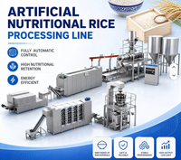 Machine de fabrication de riz à double vis à extrusion instantanée automatique, ligne de production de nouilles de riz nutritives et de riz fortifié