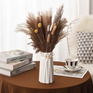 <span class=keywords><strong>Herbe</strong></span> de la Pampa, Hortensia Séché et Fougère Naturels, Longue Durée, pour Décoration de Mariage, Fête et Maison, Écologique - Product Image 6