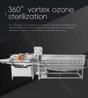 Commerciële kipfilet reiniger, fruitwasmachine, elektrische knoflookwasmachine, slakkenvleeswasmachine