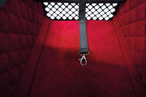 Alto rendimiento Brueggli y 4 mascotas Penthouse Montreal incluyen estación de acoplamiento para perros, asiento de coche para perros y gatos - Product Image 3