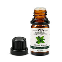 Huile Essentielle de Menthe Verte 100% Pure et Naturelle, Marque Privée Personnalisée, pour Diffuseur d'Aromathérapie, Soins de la Peau, Huile de Massage, OEM
