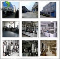 Chitosane 98% Hydrochloride Chitine Poudre Fine Ingrédients Cosmétiques Origine Chine Fenghe Bio Stock Livraison Gratuite