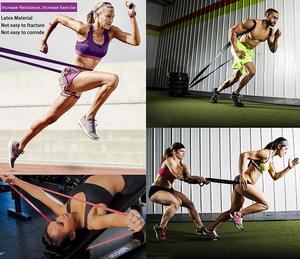 Bandas <span class=keywords><strong>de</strong></span> <span class=keywords><strong>Ejercicio</strong></span> <span class=keywords><strong>de</strong></span> Alta Calidad <span class=keywords><strong>de</strong></span> la Fábrica Zhenxing, Bandas Elásticas <span class=keywords><strong>de</strong></span> Resistencia para Fitness, Bandas <span class=keywords><strong>de</strong></span> Asistencia para Dominadas - Product Image 6