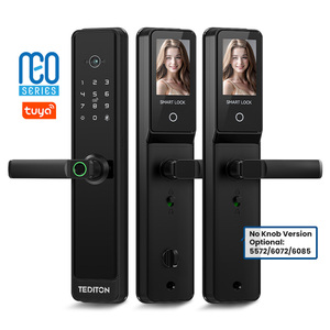 Tediton NEO alüminyum alaşım biyometrik ahşap kapı dijital parmak izi kilidi kamera ile anahtarsız biyometrik kilit ev güvenlik için - Product Image 1