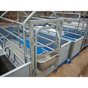 Bestseller nel mercato americano: Attrezzature per allevamenti suini, Box di parto per suini, Letti per suini, Recinti per parto per scrofe in vendita - Product Image 3