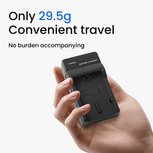 Caricabatterie OEM/RingTeam S006E con porta Type-C, ignifugo e multi-protezione per <span class=keywords><strong>Panasonic</strong></span> - Product Image 5