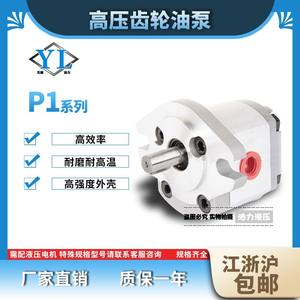 Pompes à engrenages à piston haute pression série P1 P101/102/127/135/104/105/106 Pompe à huile hydraulique à haut rendement Neuve et d'occasion - Product Image 5