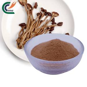 Poudre d'extrait végétal de champignon Tea Tree, 40% de polysaccharides, Agrocybe <span class=keywords><strong>Aegerita</strong></span>, fourniture d'usine pour compléments alimentaires - Product Image 2