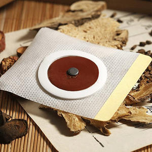 Les patchs médicinaux pour la réduction de la graisse abdominale peuvent améliorer la circulation sanguine, favorisant ainsi le métabolisme des graisses et la détoxification. - Product Image 1