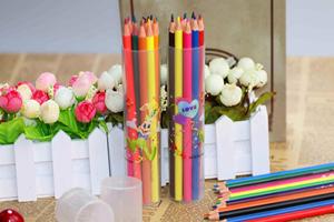 Juego de 12 Lápices de Colores Estándar Promocionales de Diseño Atractivo con Sacapuntas para Uso Escolar y de Oficina, Lápices de Madera Natural - Product Image 6