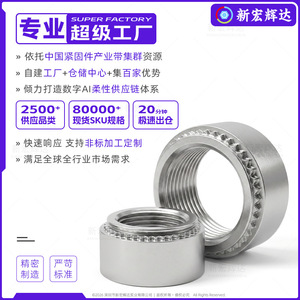 Tuerca Remachable Estriada Xin Honghuida M2.5 de Acero Inoxidable 304 con Rosca Interna para Chasis de Chapa Metálica - Product Image 3
