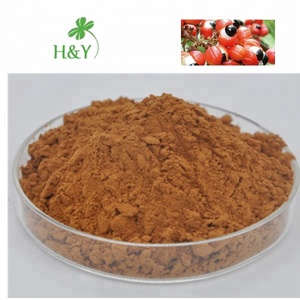 グアラナ植物エキス粉末グアラナ植物エキス - Product Image 3