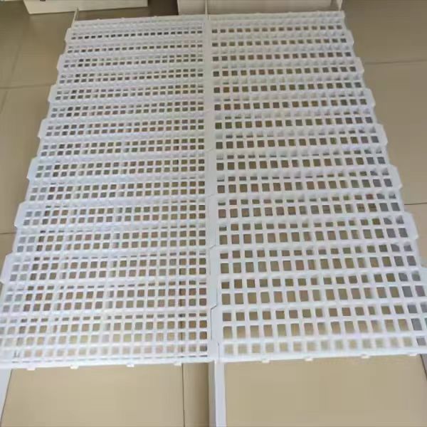 家禽スラット床ブロイラーファーム用プラスチック床カバー