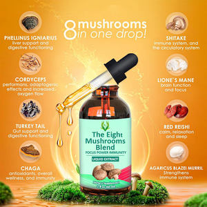Hot Selling Multi Mushrooms Liquid Drops With Ganoderma Lucidum Extract Suitable for Adults Support Immune System Liquid Drinks - Product Image 3