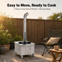 Poêle à bois pliable compact en acier inoxydable, portable, pour le camping, la randonnée, le pique-nique, la cuisine en plein air, les voyages