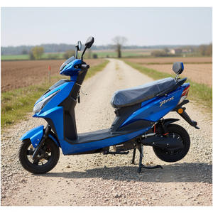 Motocicleta Eléctrica de Alto Rendimiento de 72V 30AH 1200W para Adultos, con Doble Suspensión y Motor de Plomo-Ácido - Product Image 2