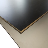 Contrachapado de Abedul y Tilo con Película Protectora EN45545, 300x300mm, 3MM, Núcleo Combinado de Álamo, Uso Interior, E0 Formaldehído, CNC Láser, para Sala de Estar