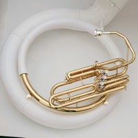 Sousaphone professionnel en fibre de verre, tuba basse, cor en plastique et acier, grande tuba pour performance, instrument de musique en cuivre