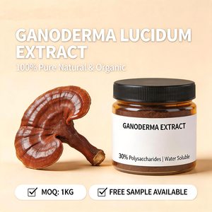 Poudre d'extrait de champignon Reishi biologique (Ganoderma Lucidum/Lingzhi) - Culture artificielle - Product Image 2