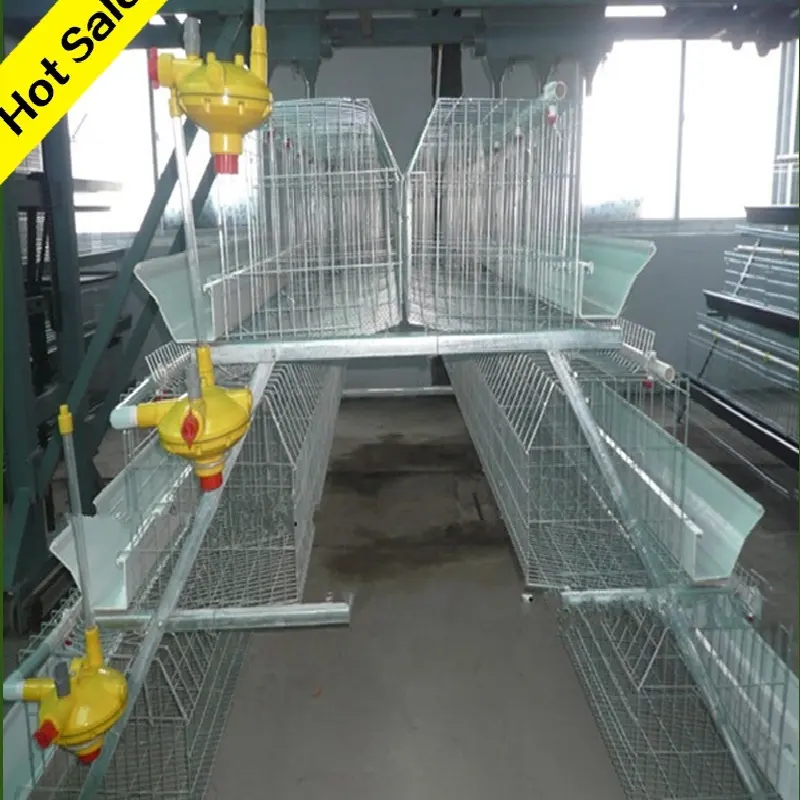 Capa de jaulas de pollo al por mayor de China