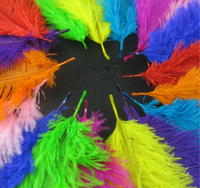 Plumes d'ailes d'autruche blanches de 15-20 cm pour centre de table de mariage, importées d'Afrique du Sud