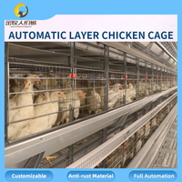 Vente en gros de cages automatiques pour poules pondeuses, équipement d'élevage avicole, vente directe d'usine, 90-160 oiseaux par cage, personnalisable