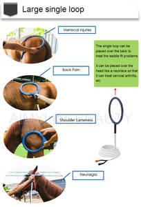 Peralatan terapi Equine mesin terapi Loop Pemf untuk kuda alat dokter hewan - Product Image 3
