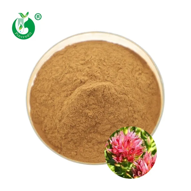 Bulk 3% Organic Rhodiola Salidroside Powder Rhodiola Rosea Root Extract