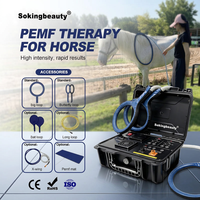 Machine PEMF à prix d'usine pour la réparation des blessures sportives, la réduction de l'inflammation, machine de thérapie PEMF pour les centres de réadaptation animale