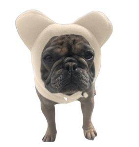 Chapeau en polaire chaud décontracté de style européen et américain, couleur unie, accessoire mignon pour animaux de compagnie pour chiens - Product Image 6