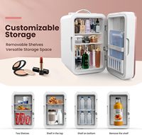 Mini réfrigérateur électrique PC-F001 le plus populaire avec affichage LED Déshumidificateur déshydratant portable pour la maison et l'extérieur