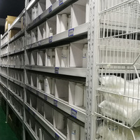 Huile Minérale à Base d'Extraits Végétaux Sauvages de Qualité Cosmétique, Surfactant de Qualité Supérieure en Bouteille, Fourniture Directe Usine