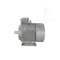 Moteur électrique étanche Wolong à double arbre 380V/440V B3 AC triphasé, efficacité IE3, 50/60Hz, 100kW 2HP
