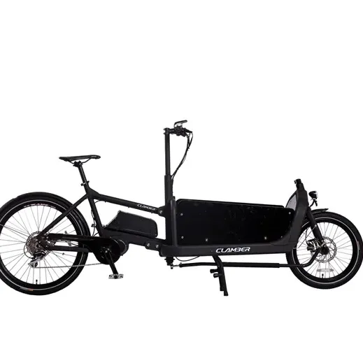 adult electric cargo bicycle family power assist cycle